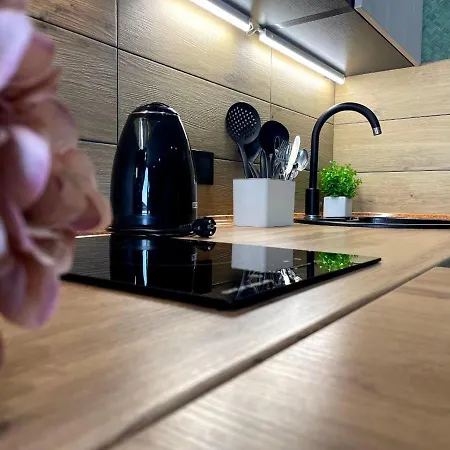 Apartment Sixkeys- Studiolebedinyy *